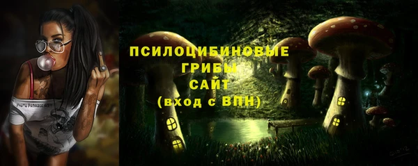 дурь Алексин
