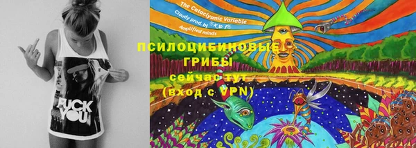 дурь Алексин